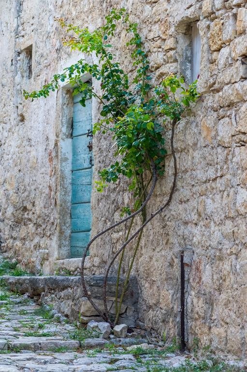 Aparthotel Castrum Novum Novigrad Istria Εξωτερικό φωτογραφία